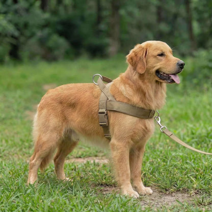 AntiTræk Hundesele