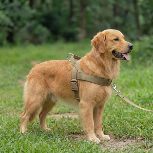 AntiTræk Hundesele