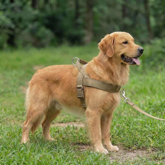 AntiTræk Hundesele