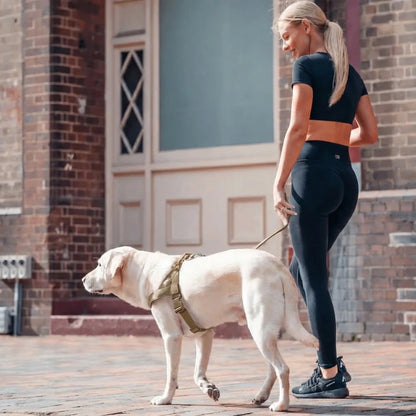 AntiTræk Hundesele