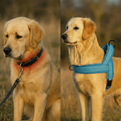 AntiTræk Hundesele